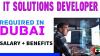 IT Solutions Developer Required in Dubai