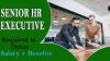 Senior HR Executive Required in Dubai