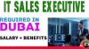 IT Sales Executive Required in Dubai