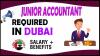 Junior Accountant Required in Dubai