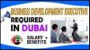 Business Development Executive Required in Dubai