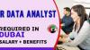 HR Data Analyst Required in Dubai