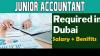 Junior Accountant Required in Dubai