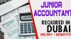 Junior Accountant Required in Dubai