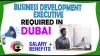 Business Development Executive Required in Dubai