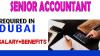 Senior Accountant Required in Dubai