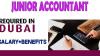 Junior Accountant Required in Dubai