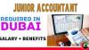 Junior Accountant Required in Dubai