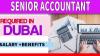 Senior Accountant Required in Dubai