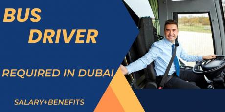 BUS DRIVER Required in Dubai
