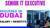 Senior Information Technology Executive Required in Dubai