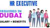 HR EXECUTIVE Required in Dubai