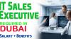 IT Sales Executive Required in Dubai