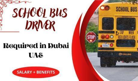 School Bus Driver Required in Dubai