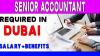 Senior Accountant Required in Dubai