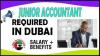 Junior Accountant Required in Dubai