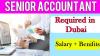 Senior Accountant Required in Dubai