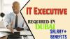 IT Executive Required in Dubai