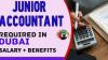 Junior Accountant Required in Dubai