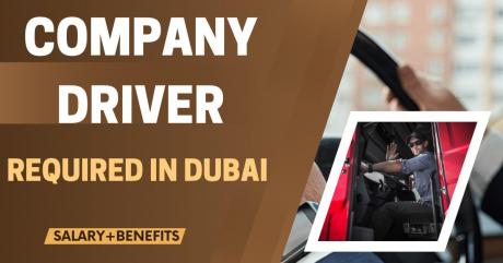 COMPANY DRIVER Required in Dubai