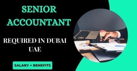 Senior Accountant Required in Dubai