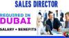 Sales Director Required in Dubai