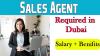 Sales Agent Required in Dubai