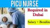 PICU Nurse Required in Dubai