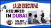 Sales Executive Required in Dubai