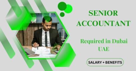 Senior Accountant Required in Dubai