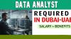 Data Analyst Required in Dubai